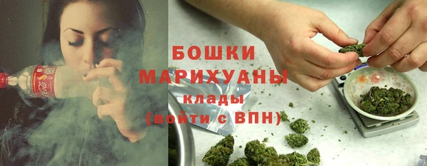 PSILOCYBIN Санкт-Петербург